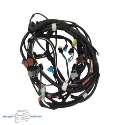 سیم کشی موتور پژو 206 دوگانه سوز