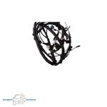 سیم کشی موتور 405 کد TU5 22241594