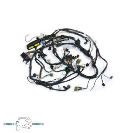 دسته سیم سوزن انژکتور و سوخت پاش تک سوز کد 9661675380