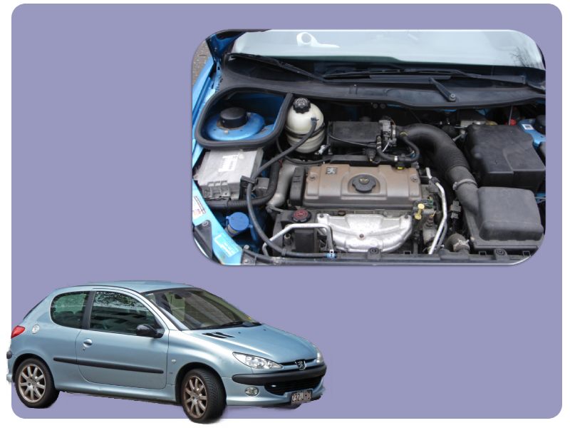 دسته سیم موتور 206